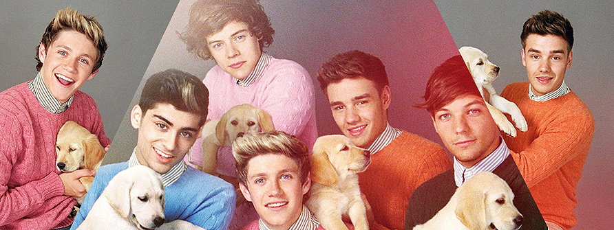 Welcome to One Direction Galaxy!